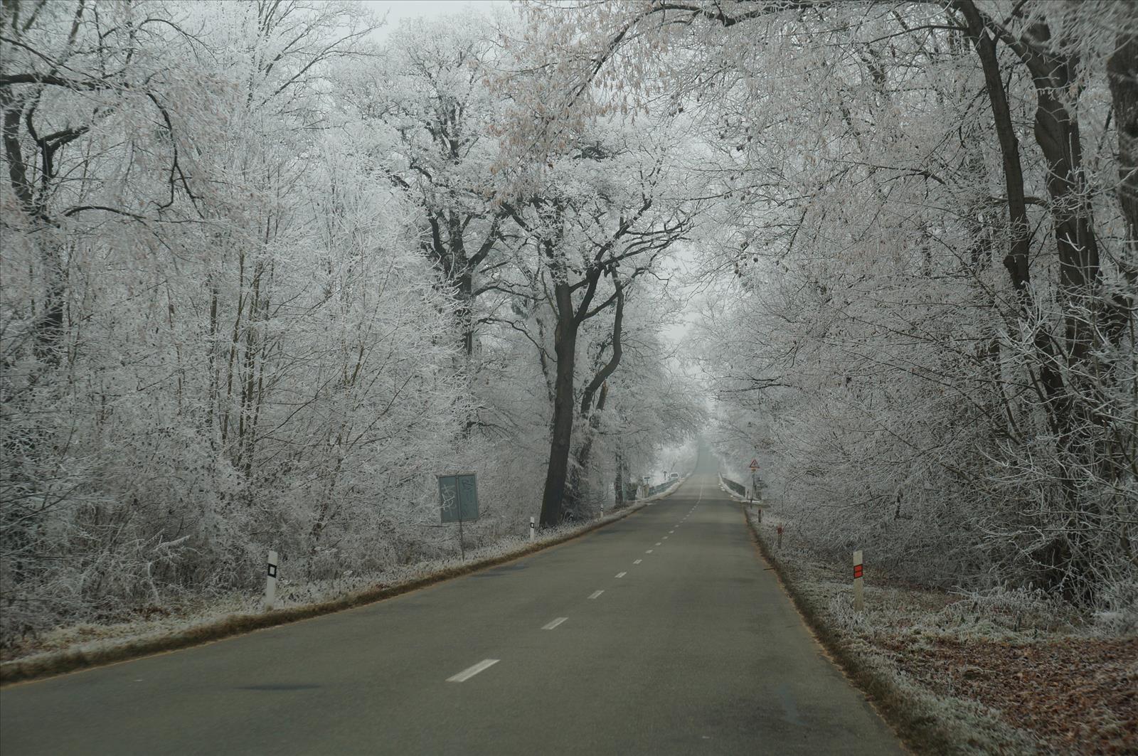 Дорога в Глоговец