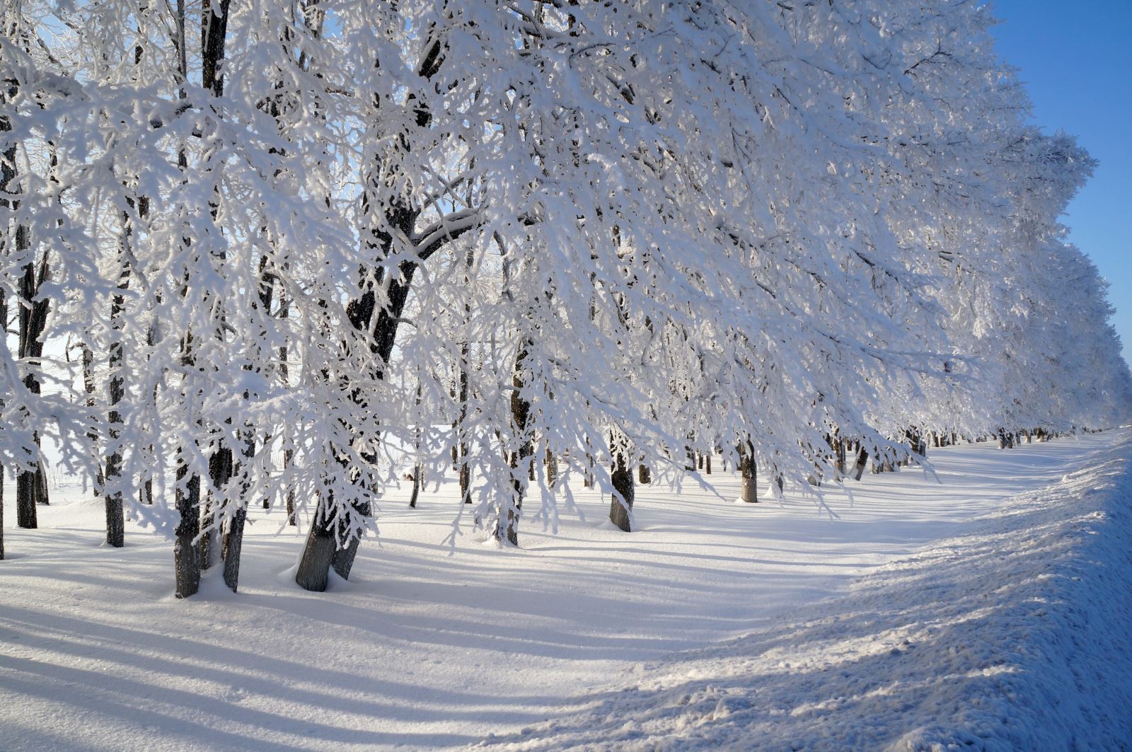 Воронеж и Рамонь