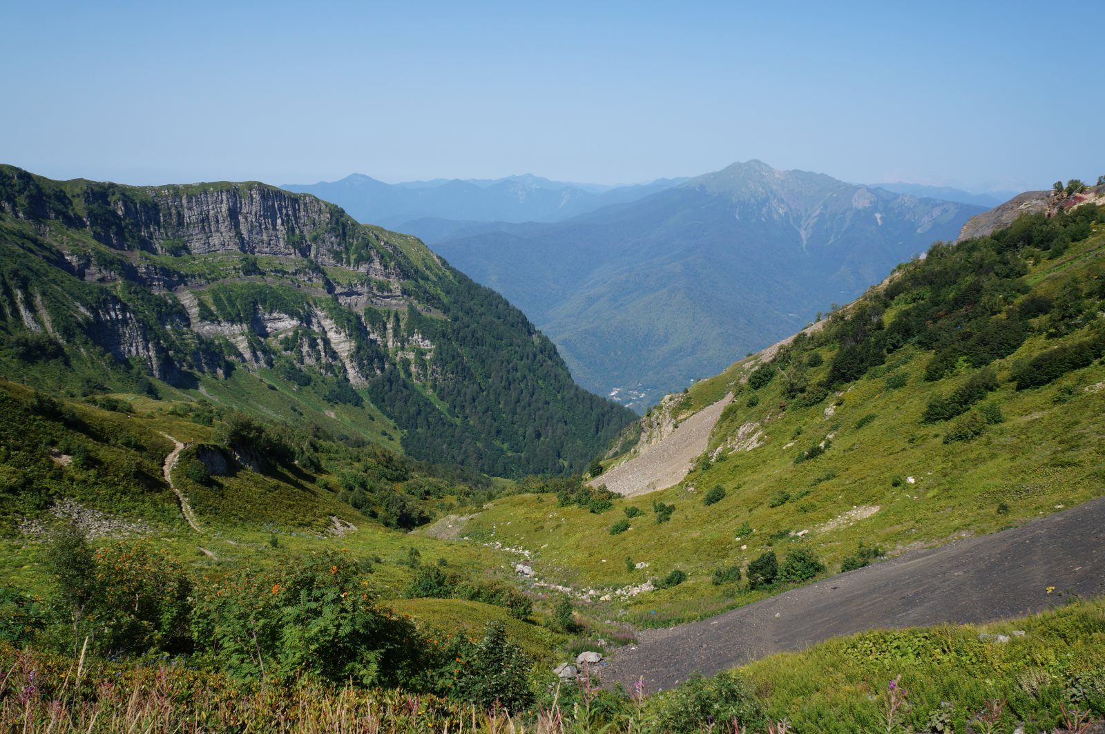 Альпийские луга Красной поляны