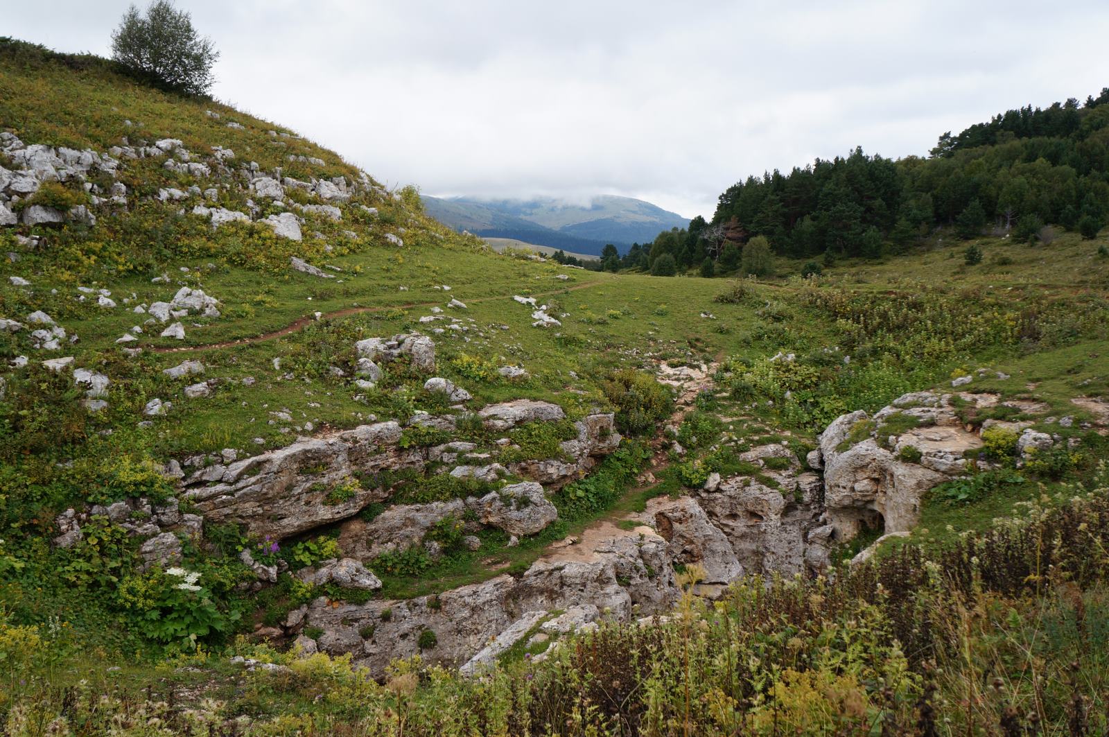 Плато Лаго-Наки